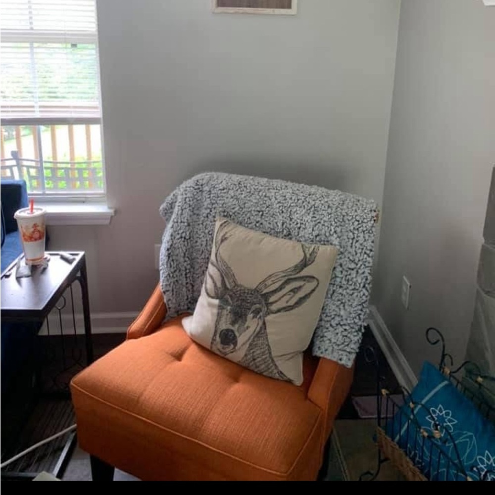 Orange Armchair with Deer Pillow